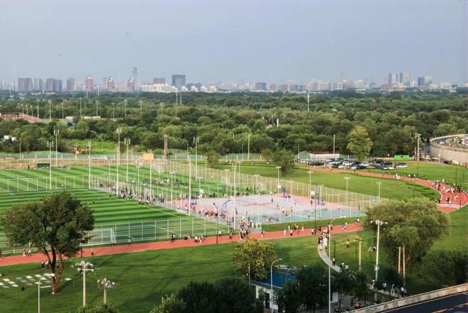 “城中村”蝶变“能量之森”！海淀这个万人运动场让城市活力跃迁